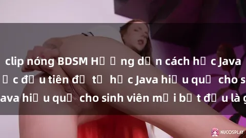 clip nóng BDSM Hướng dẫn cách học Java cho sinh viên: Bước đầu tiên để tự học Java hiệu quả cho sinh viên mới bắt đầu là gì?